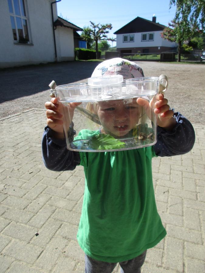 natur natur