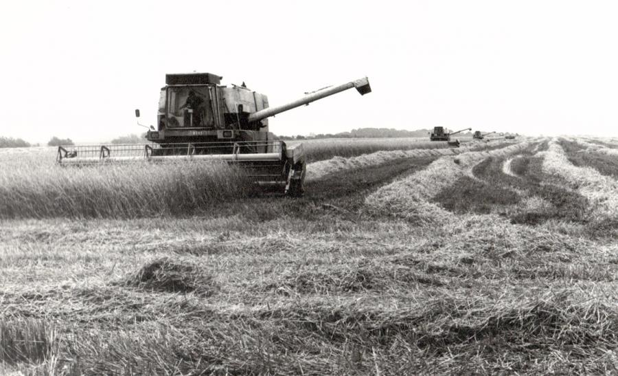 Landarbeit 1987