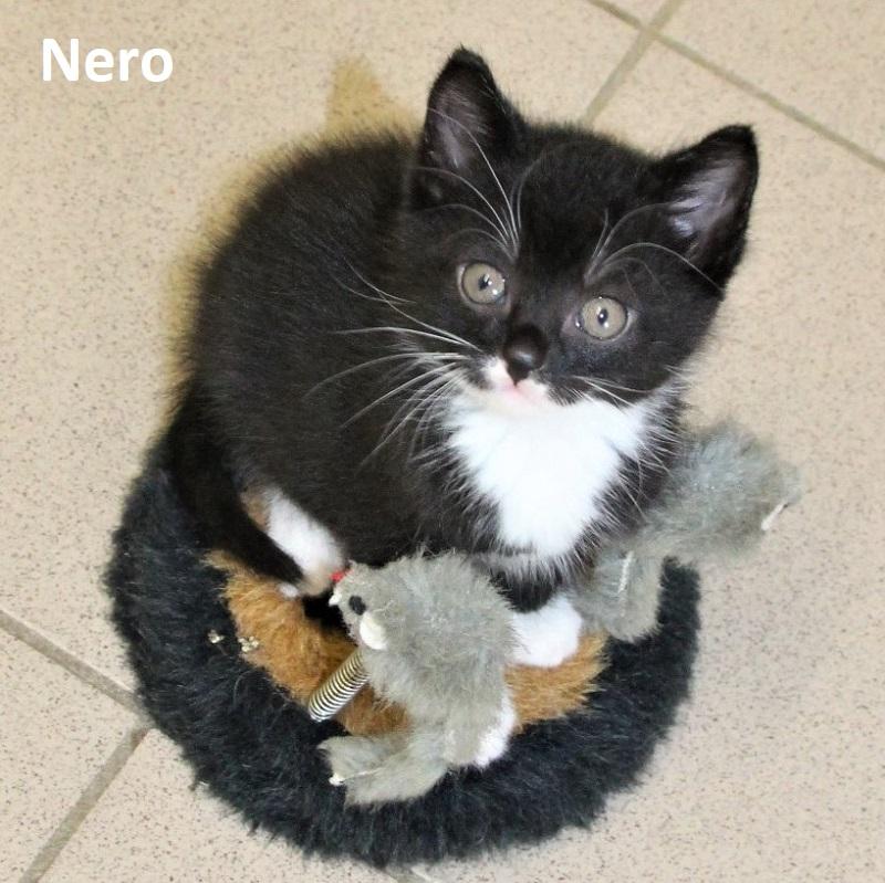 Nero