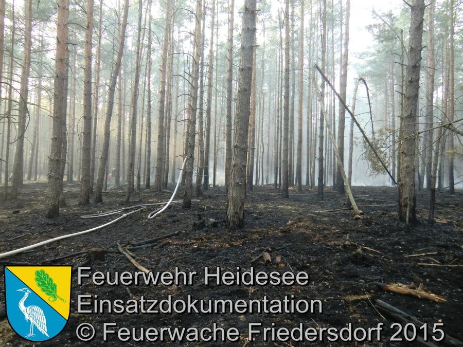 Einsatz 110/2015 5000m² Waldbodenbrand Senzig Körbiskruger Straße 05.07.2015