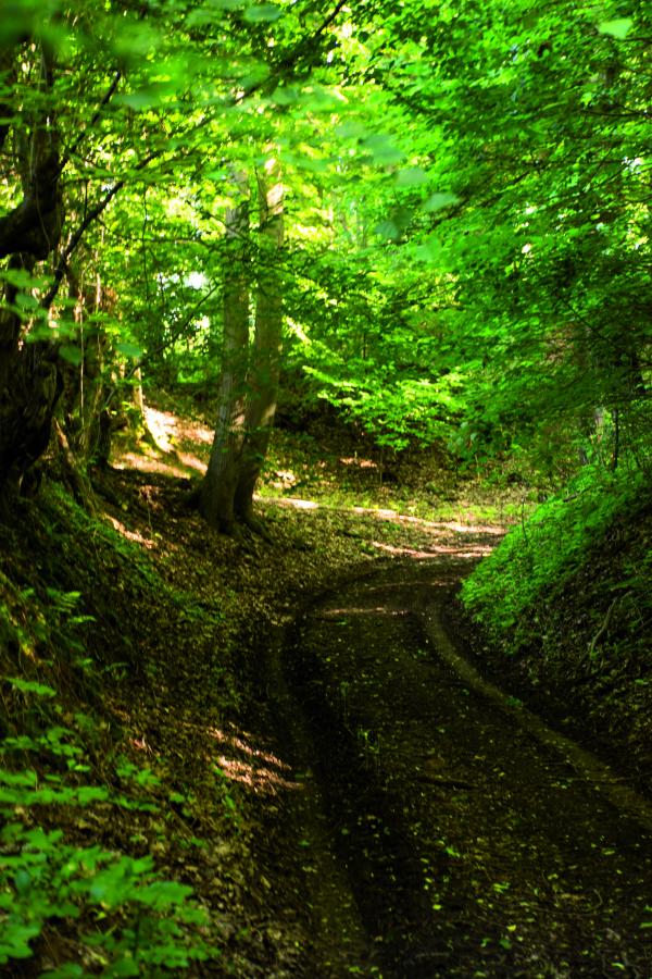 Der steile Weg hinauf