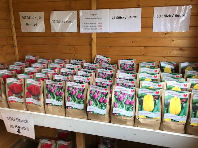 Tulpenzwiebelverkauf 2017 Tulpenzwiebelverkauf 2017