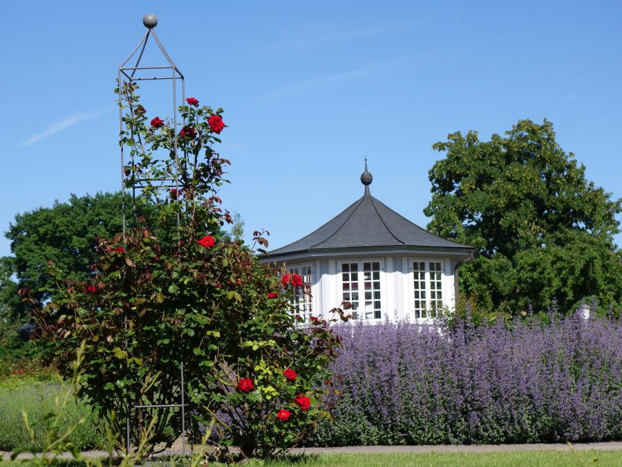 Bad Langensalza Rosengarten