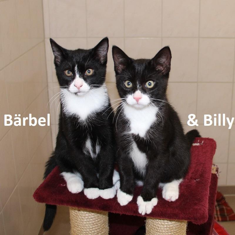 Bärbel & Billy
