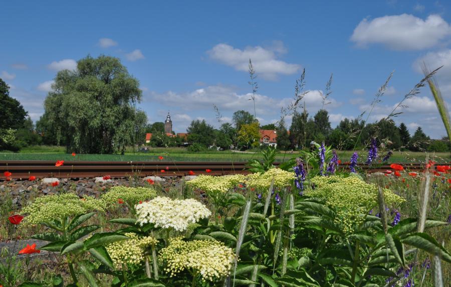 Basdorf Kirche_Foto: Gerigk