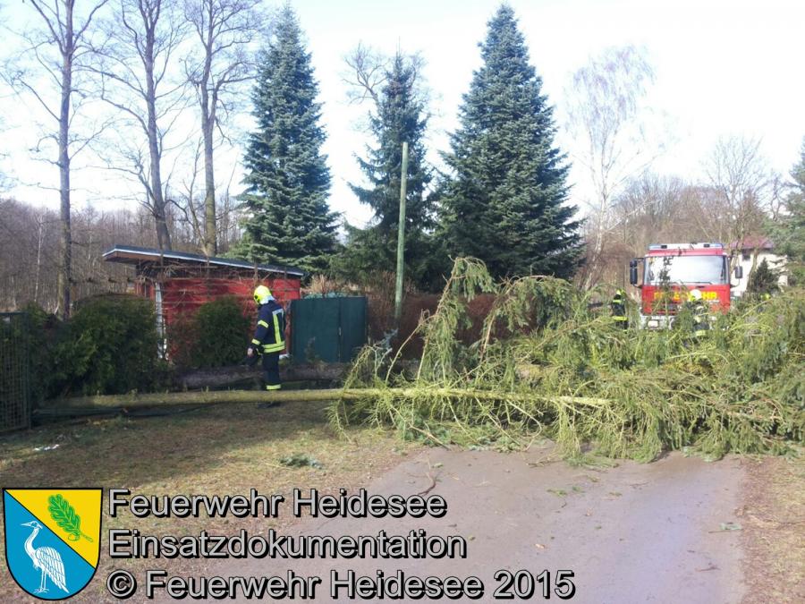 Einsatz 35/2015 2 Bäume über Straße Streganz Ziegelei 31.03.2015
