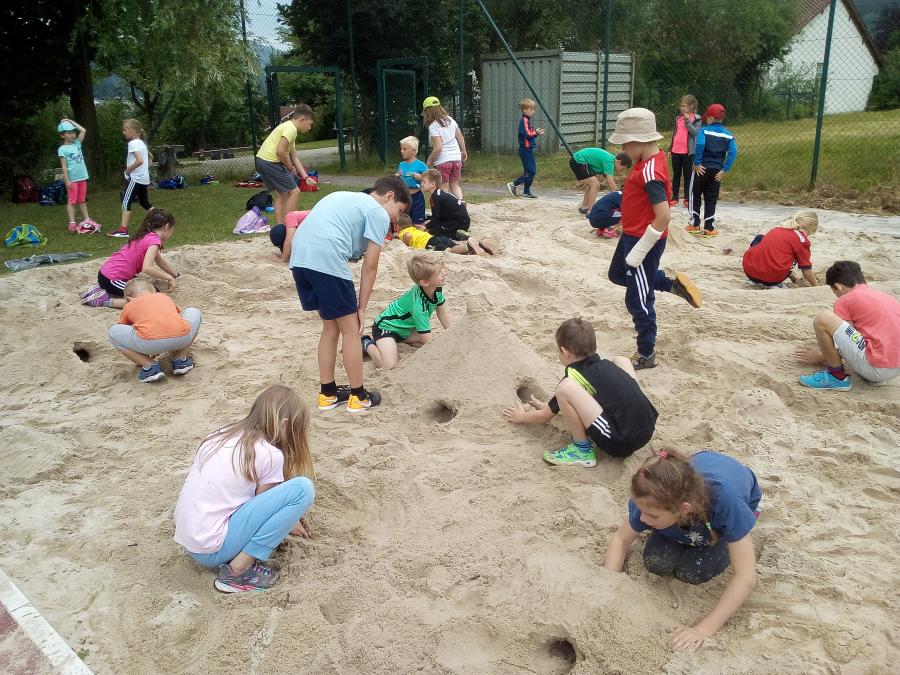 Sportfest