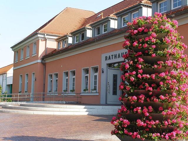 Rathaus mit Blume