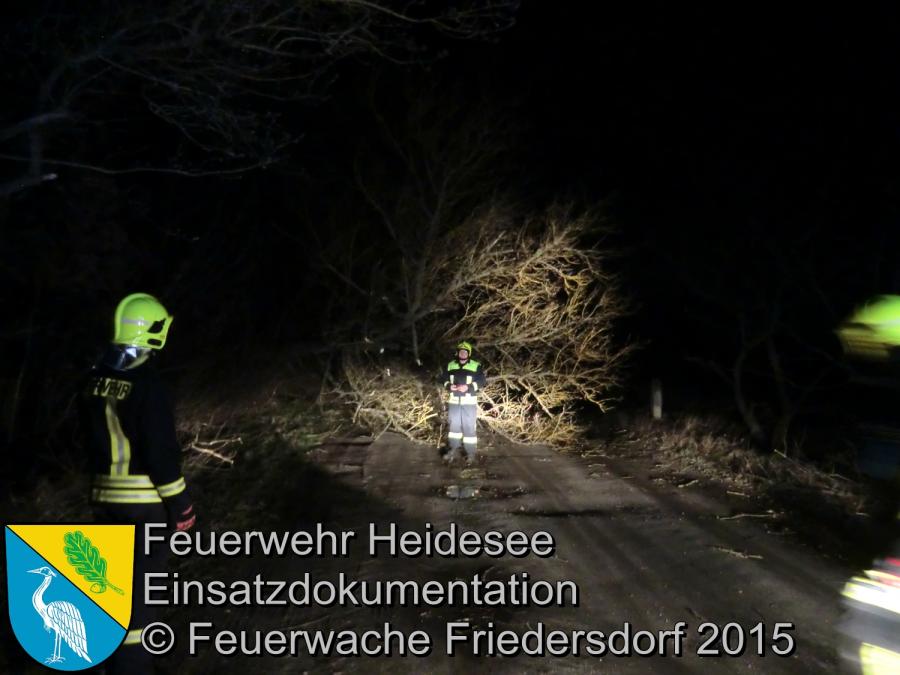 Einsatz 56/2015 Baum auf Straße Friedersdorf Grüner Weg 31.03.2015