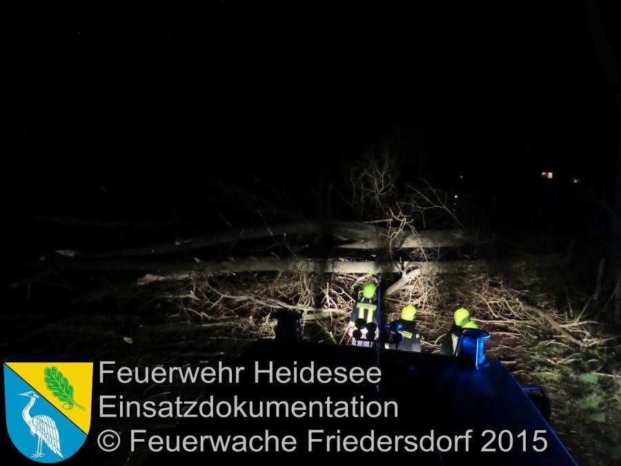 Einsatz 57/2015 2 Bäume über Straße Friedersdorf Weg nach Dannenreich 31.03.2015
