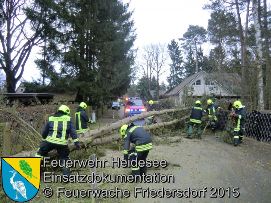 Einsatz 64/2015 Baum über Straße Bindow Margaretenstraße 01.04.2015