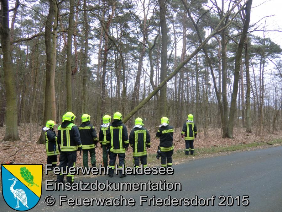 Einsatz 66/2015 Baum droht zu fallen L40 OV Wolzig - Kummersdorf (LOS) 01.04.2015