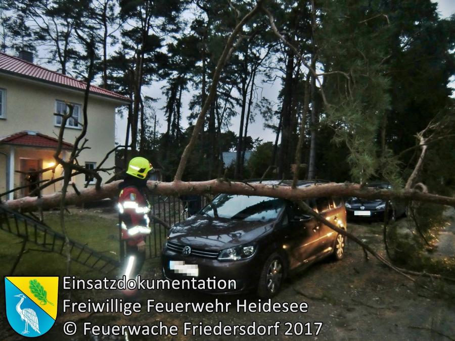 Einsatz 202/2017 | Baum auf Auto | Bindow Finkenstieg | 05.10.2017