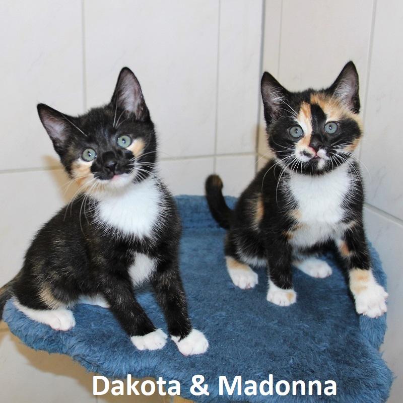 Dakota & Madonna