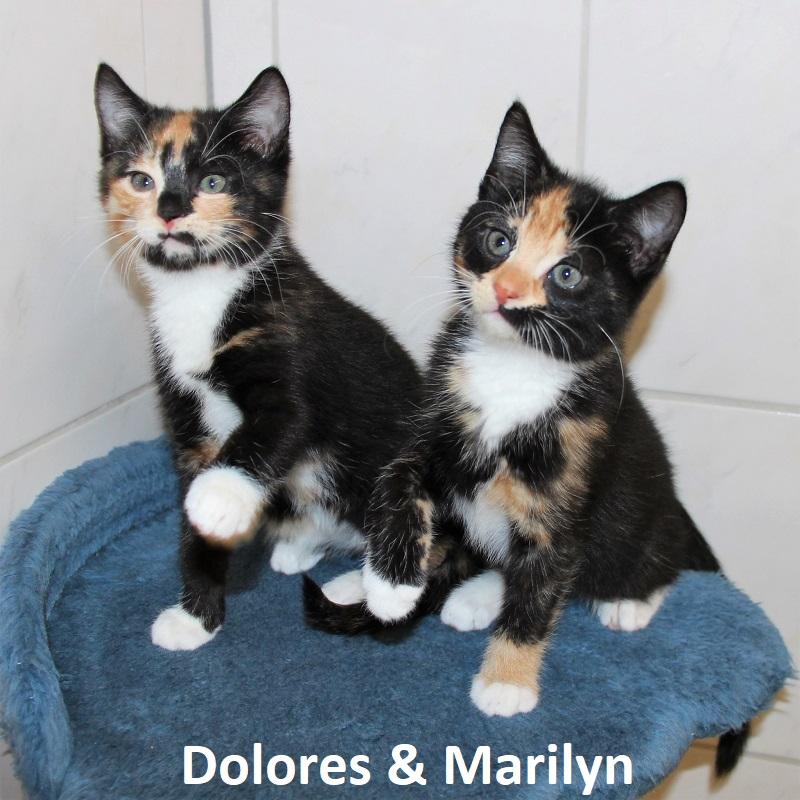 Dolores & Marilyn