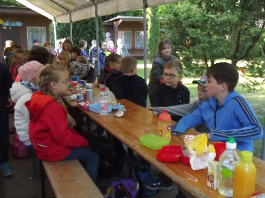 Wald 1 Wald 1