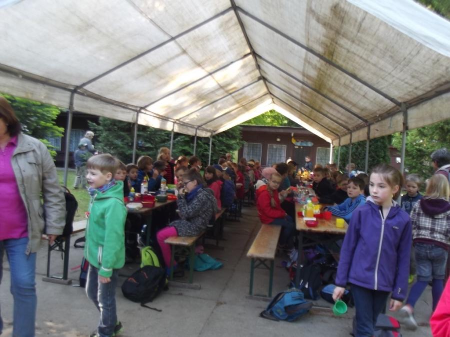 Wald 3 Wald 3