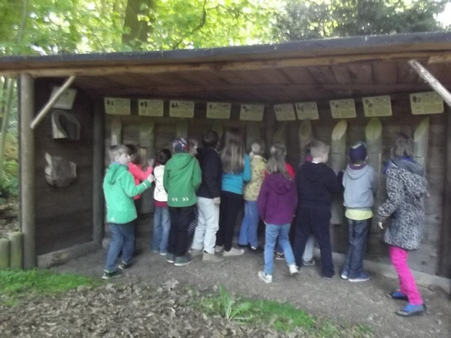 Wald 7 Wald 7