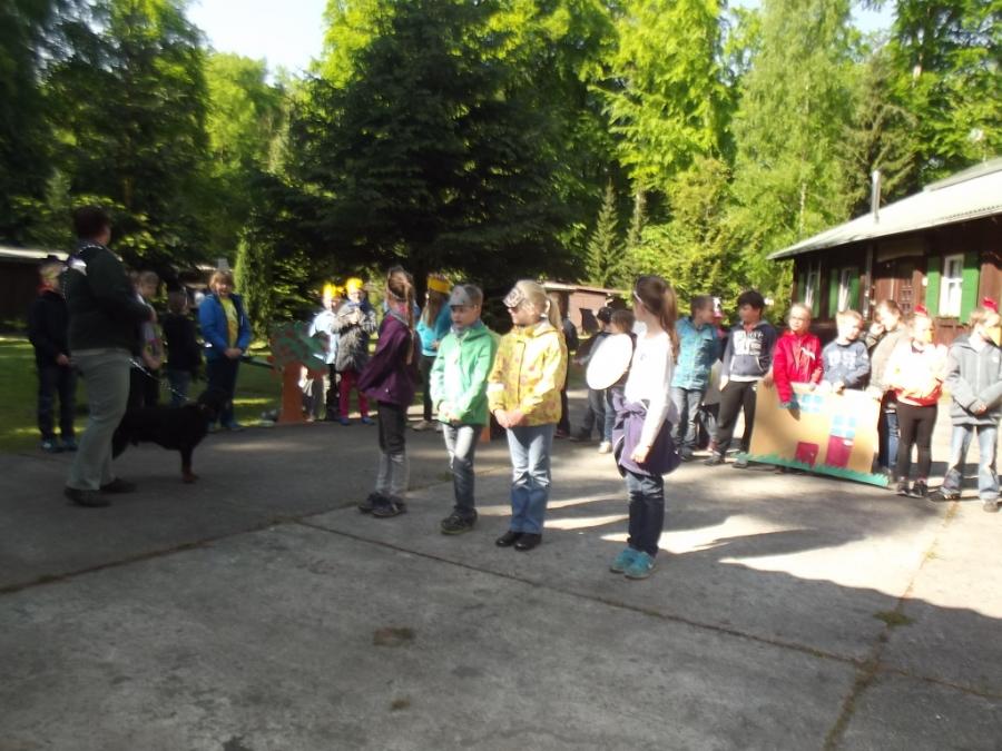 Wald 8 Wald 8