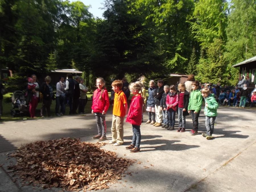 Wald 11 Wald 11