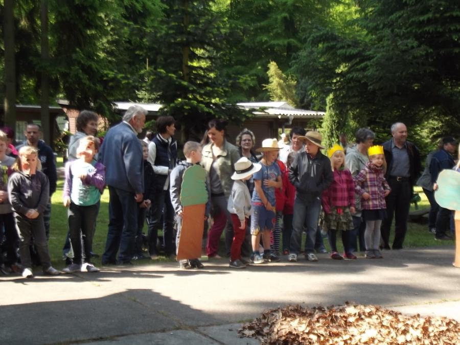 Wald 12 Wald 12