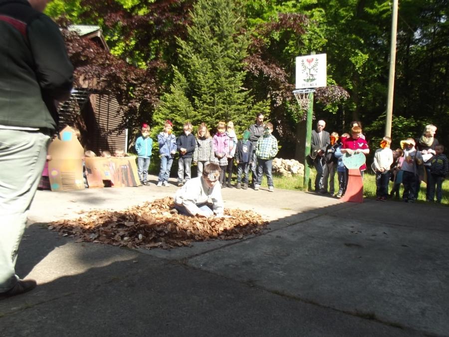 Wald 15 Wald 15