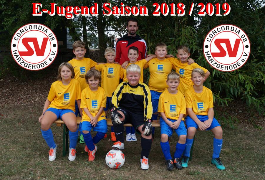 E-Jugend 2018 / 2019 E-Jugend 2018 / 2019