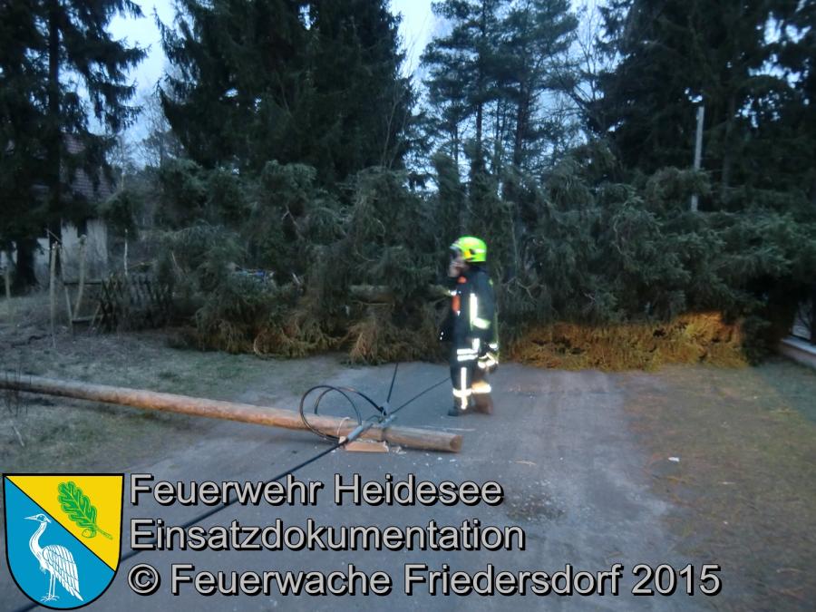 Einsatz 62/2015 Baum auf Straße Friedersdorf Straße Nr.2 01.04.2015