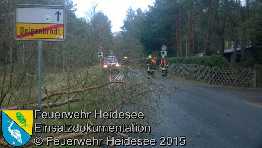 Einsatz 41/2015 Baum auf Straße OV Blossin - Dolgenbrodt 31.03.2015