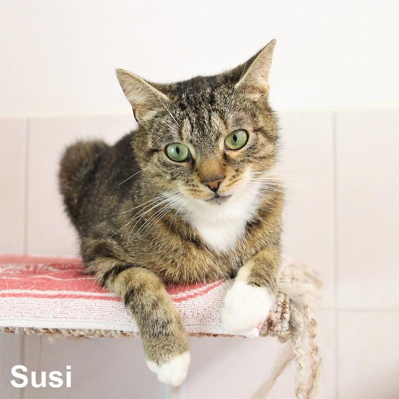 Susi
