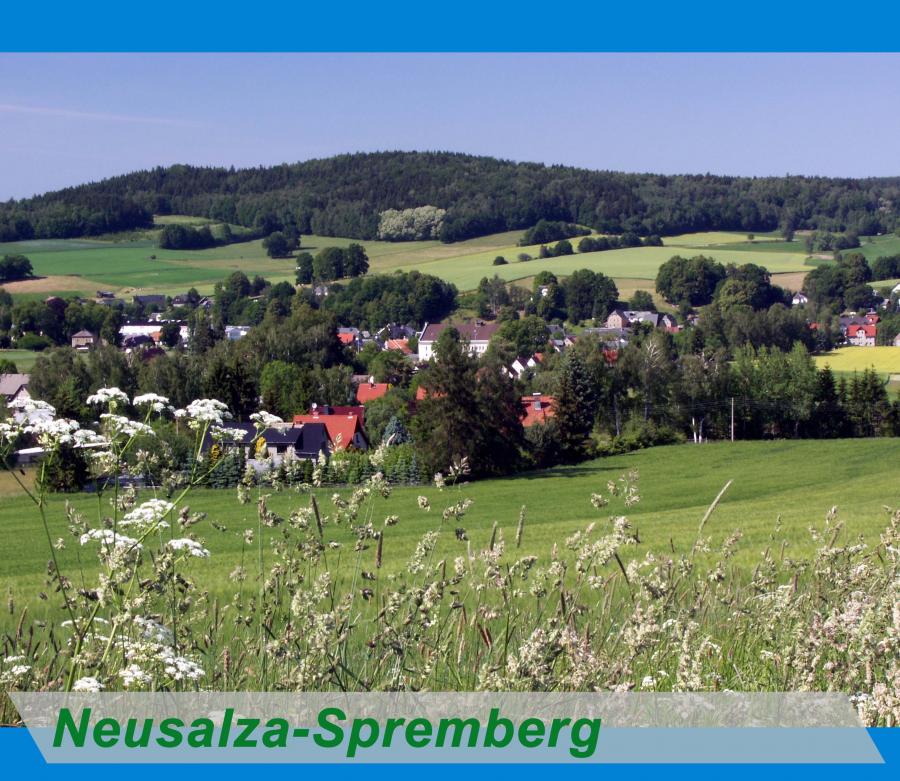 Neusalza- Spremberg Button
