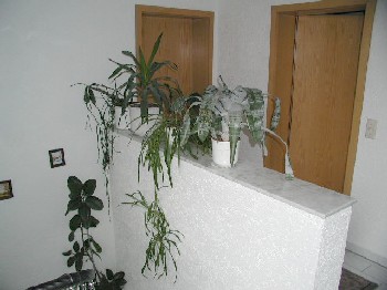 Ferienwohnung Turski