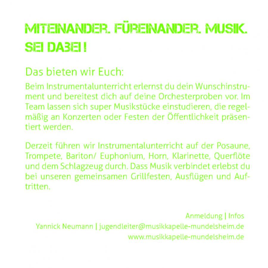 Flyer Rückseite Instrumentalausbildung