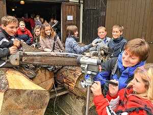 Waldprogramm Waldprogramm