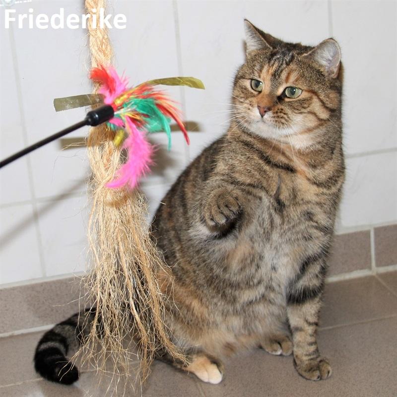 Friederike