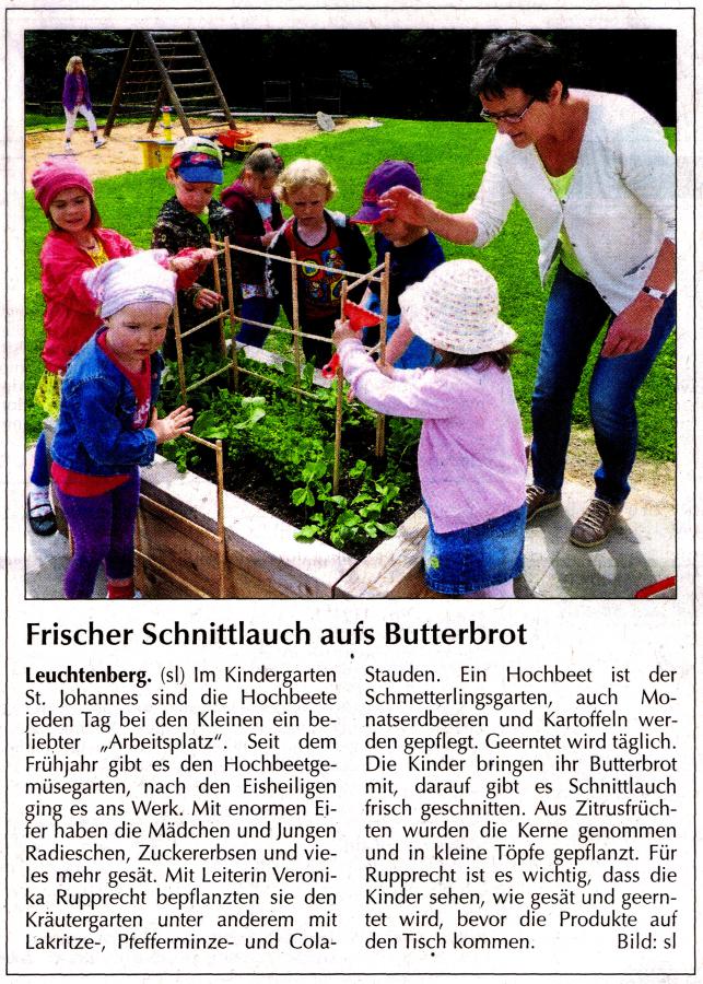 Frischer Schnittlauch im Kindergarten - NT 10.06.2014