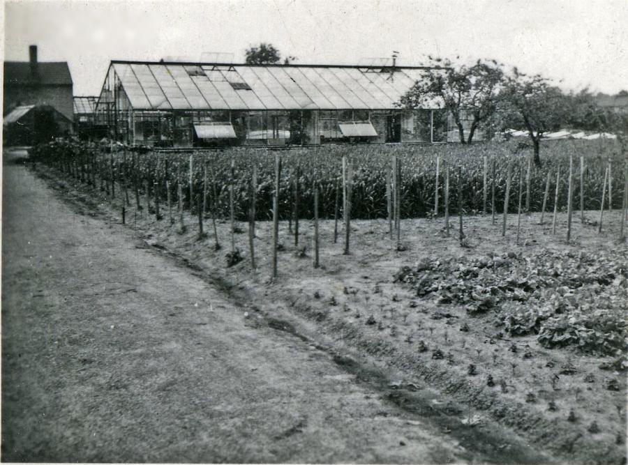 Gärtnerei 30-40 iger Jahre