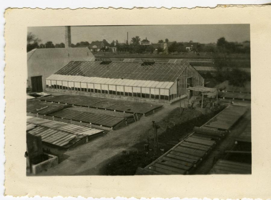Gärtnerei 50iger Jahre