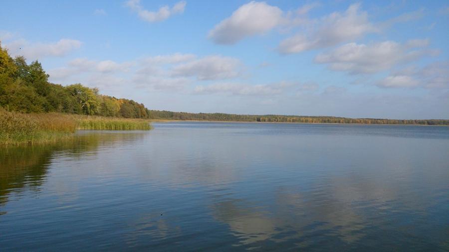 Goldberger See