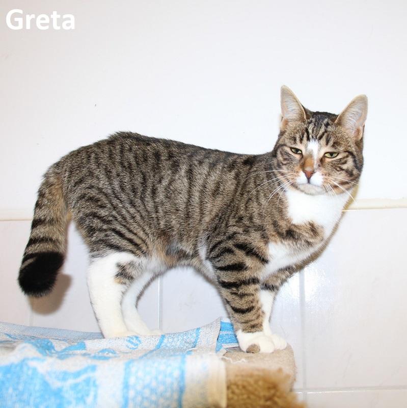 Greta