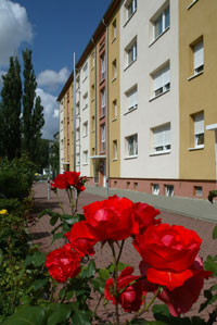 Frisch sanierter Neubaublock mit Rosen im Vordergrund