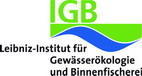 Logo IGB