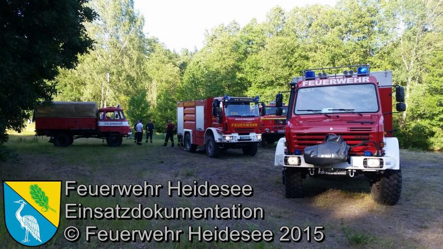 Einsatz 103/2015 5000m² Waldbodenbrand Hermsdorf Mühle 15.06.2015