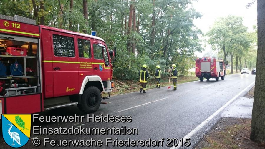 Einsatz 156/2015 Baum auf Straße L39 OV Friedersdorf - Wenzlow 08.10.2015