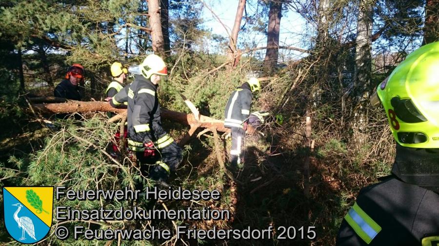 Einsatz 164/2015 Baum auf Bungalow Bindow Birkenhain 18.11.2015
