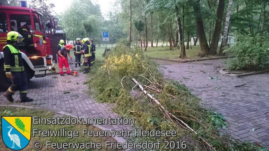 Einsatz 39/2016 | Baum auf Parkplatz | Bindow Badestrand 24.05.2016