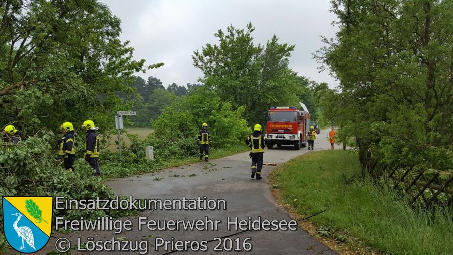 Einsatz 46/2016 | Baum auf Straße und in Telefonleitung | Streganz Münchehofer Straße 24.05.2016