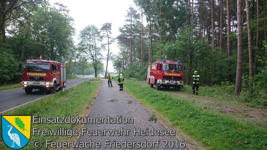 Einsatz 52/2016 | Baum droht auf Straße zu stürzen | L40 OV Friedersdorf - Bindow 24.05.2016