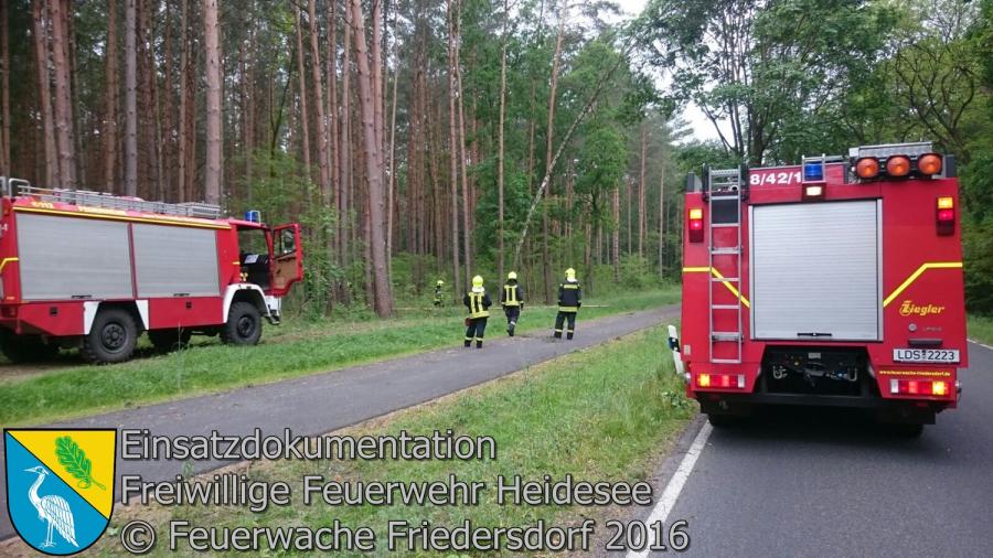 Einsatz 52/2016 | Baum droht auf Straße zu stürzen | L40 OV Friedersdorf - Bindow 24.05.2016