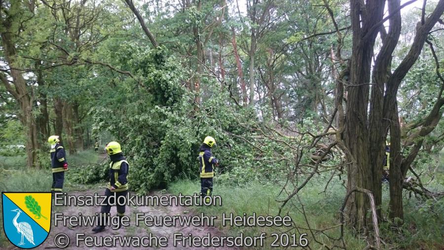 Einsatz 53/2016 | 5 Bäume auf Straße | Bindow Blossiner Stieg 24.05.2016